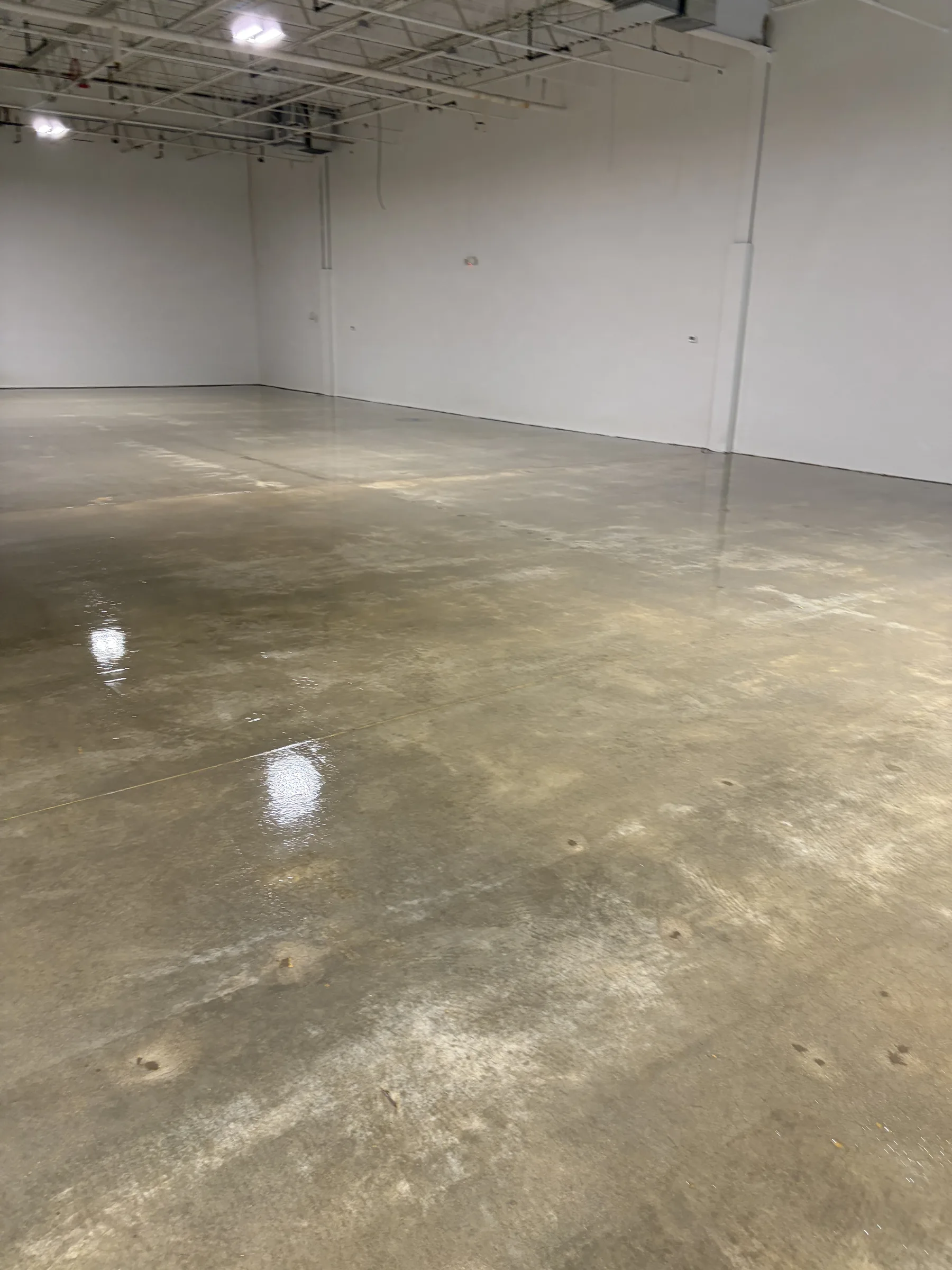 Triumph Concrete Coating Showroom Polished commercial floor coating sample